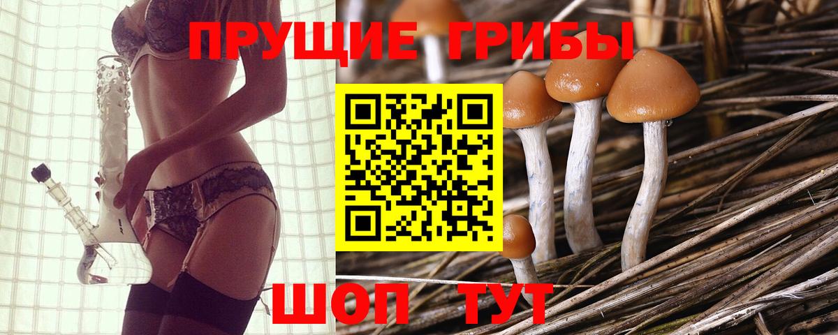 Уварово  Галлюциногенные грибы прущие грибы  Вход с VPN  Галлюциногенные грибы ЛСД 