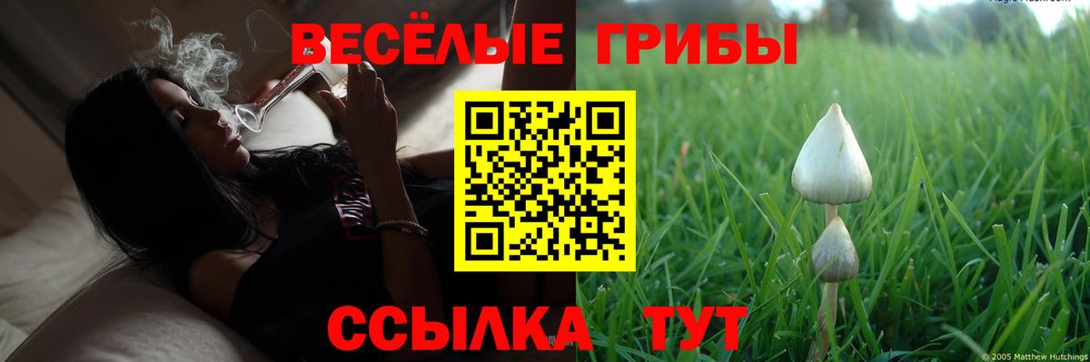Галлюциногенные грибы мухоморы Уварово